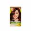 Tinte para mujer GARNIER Nutrisse 50 castaña Caja 1Un