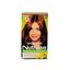 Tinte para mujer GARNIER Nutrisse 53 nuez Caja 1Un