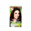 Tinte para mujer GARNIER Nutrisse 52 chocolatissimo Caja 1Un