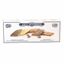 Galletas JULES DESTROOPER Bañadas en Chocolate Belga Caja 100g