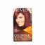 Tinte para mujer REVLON Colorsilk 49 castaño caoba Caja 1Un