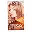Tinte para mujer REVLON Colorsilk 60 rubio cenizo oscuro Caja 1Un