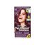 Tinte para Cabello GARNIER NUTRISSE Ciruela 462 Caja 1un